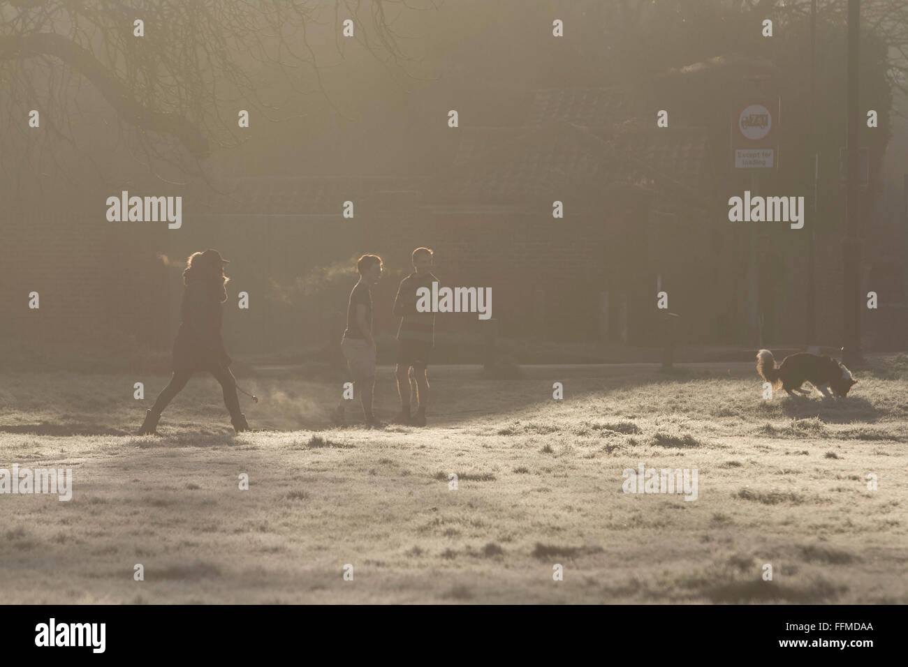 Il torneo di Wimbledon, Londra, Regno Unito. Il 16 febbraio, 2016. Meteo REGNO UNITO: la gente a piedi su Wimbledon Common coperto di brina in una fredda mattina con temperature meteo scenda a zero per i prossimi giorni nella capitale Credito: amer ghazzal/Alamy Live News Foto Stock