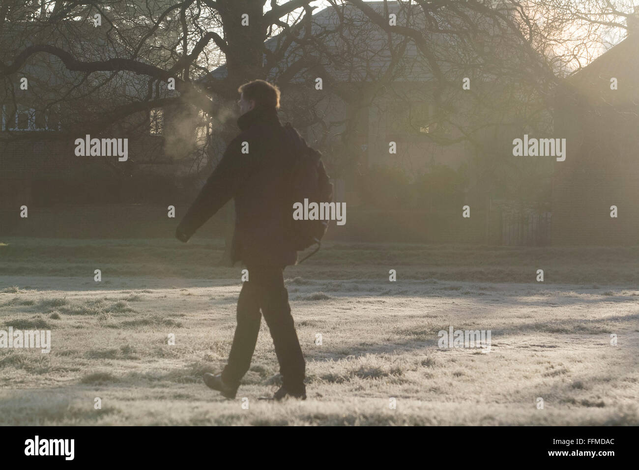 Il torneo di Wimbledon, Londra, Regno Unito. Il 16 febbraio, 2016. Meteo REGNO UNITO: la gente a piedi su Wimbledon Common coperto di brina in una fredda mattina con temperature meteo scenda a zero per i prossimi giorni nella capitale Credito: amer ghazzal/Alamy Live News Foto Stock