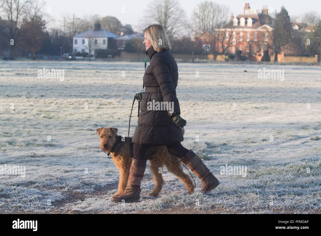 Il torneo di Wimbledon, Londra, Regno Unito. Il 16 febbraio, 2016. Meteo REGNO UNITO: la gente a piedi su Wimbledon Common coperto di brina in una fredda mattina con temperature meteo scenda a zero per i prossimi giorni nella capitale Credito: amer ghazzal/Alamy Live News Foto Stock