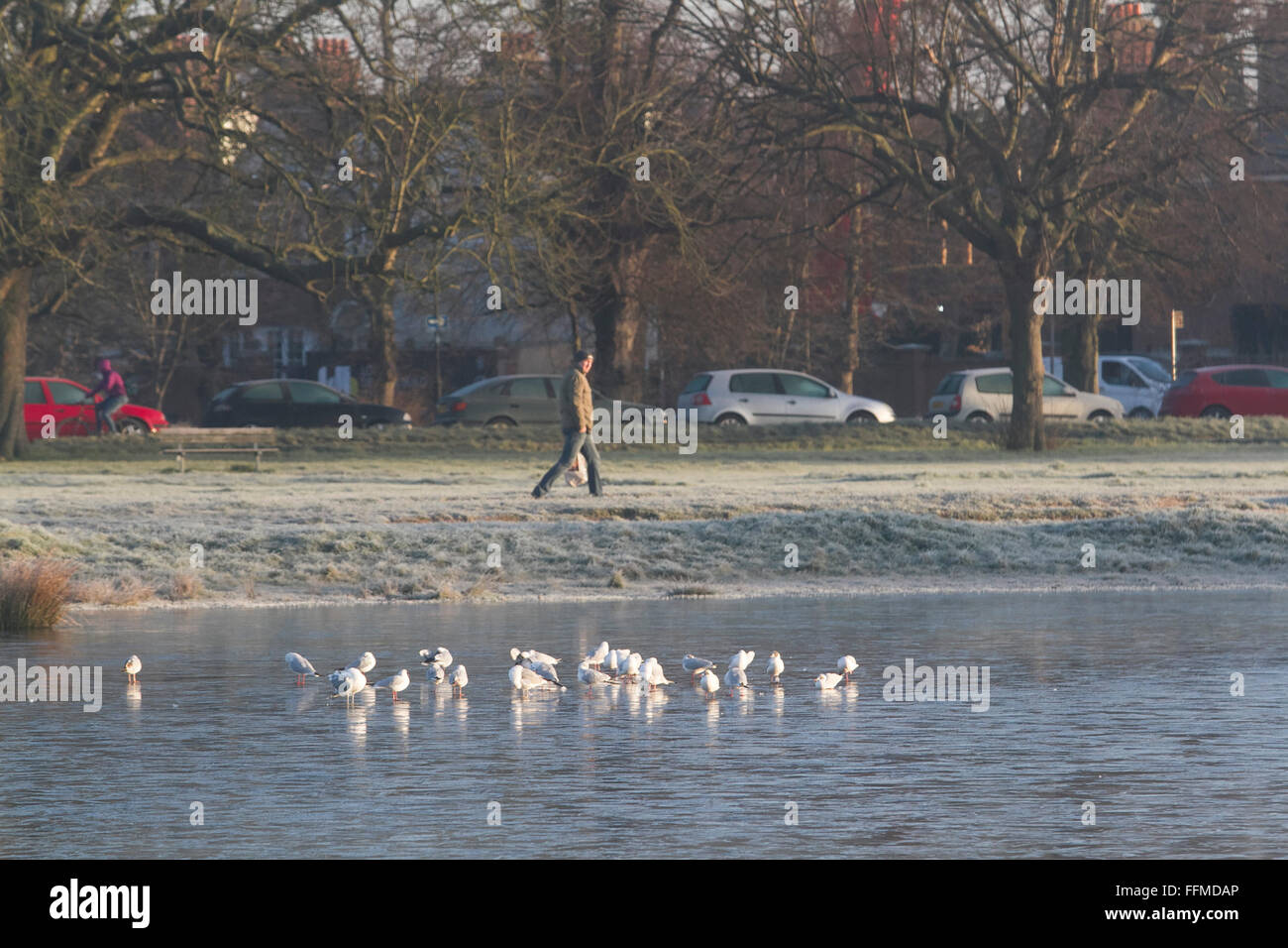 Il torneo di Wimbledon, Londra, Regno Unito. Il 16 febbraio, 2016. Meteo REGNO UNITO: la gente a piedi su Wimbledon Common coperto di brina in una fredda mattina con temperature meteo scenda a zero per i prossimi giorni nella capitale Credito: amer ghazzal/Alamy Live News Foto Stock