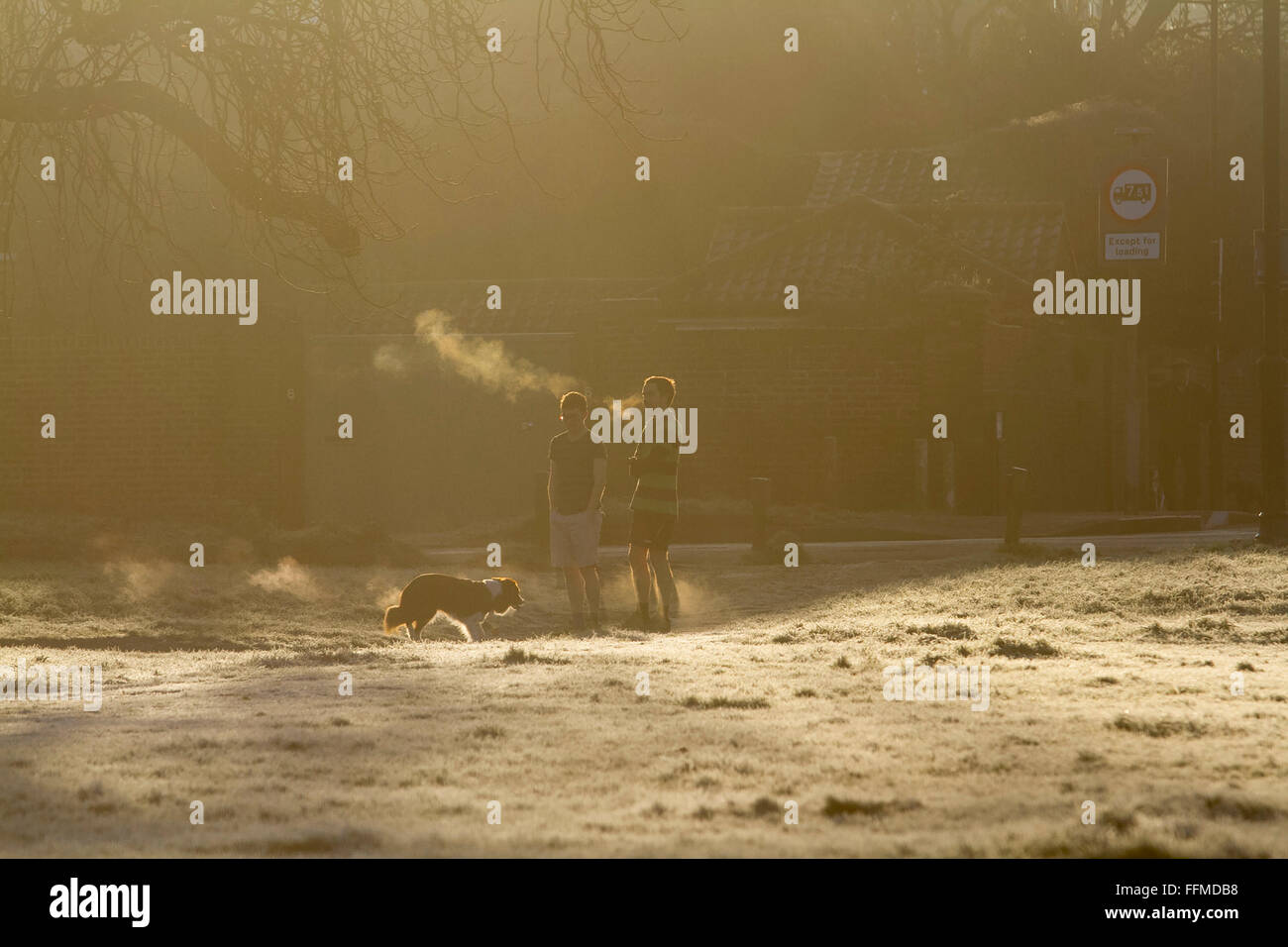 Il torneo di Wimbledon, Londra, Regno Unito. Il 16 febbraio, 2016. Meteo REGNO UNITO: la gente a piedi su Wimbledon Common coperto di brina in una fredda mattina con temperature meteo scenda a zero per i prossimi giorni nella capitale Credito: amer ghazzal/Alamy Live News Foto Stock