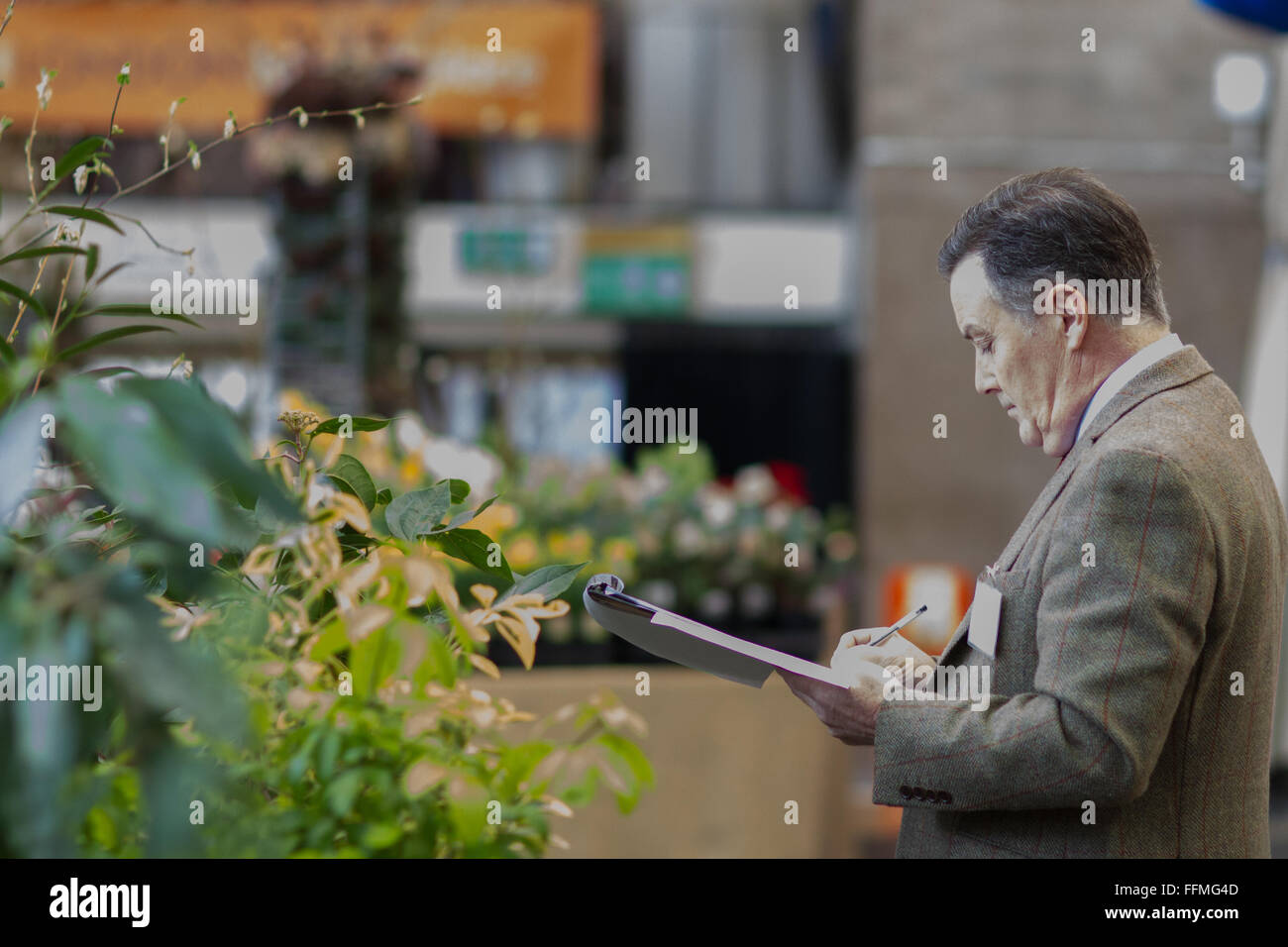 Londra, UK, 16 febbraio, 2016. Royal Horticultural Society (RHS) inizio primavera fata vegetali si apre a RHS Lawrence Hall e Lindley Hall. A giudicare avviene. Questo è il primo RHS show dell'anno. Credito: carol moiré/Alamy Live News Foto Stock