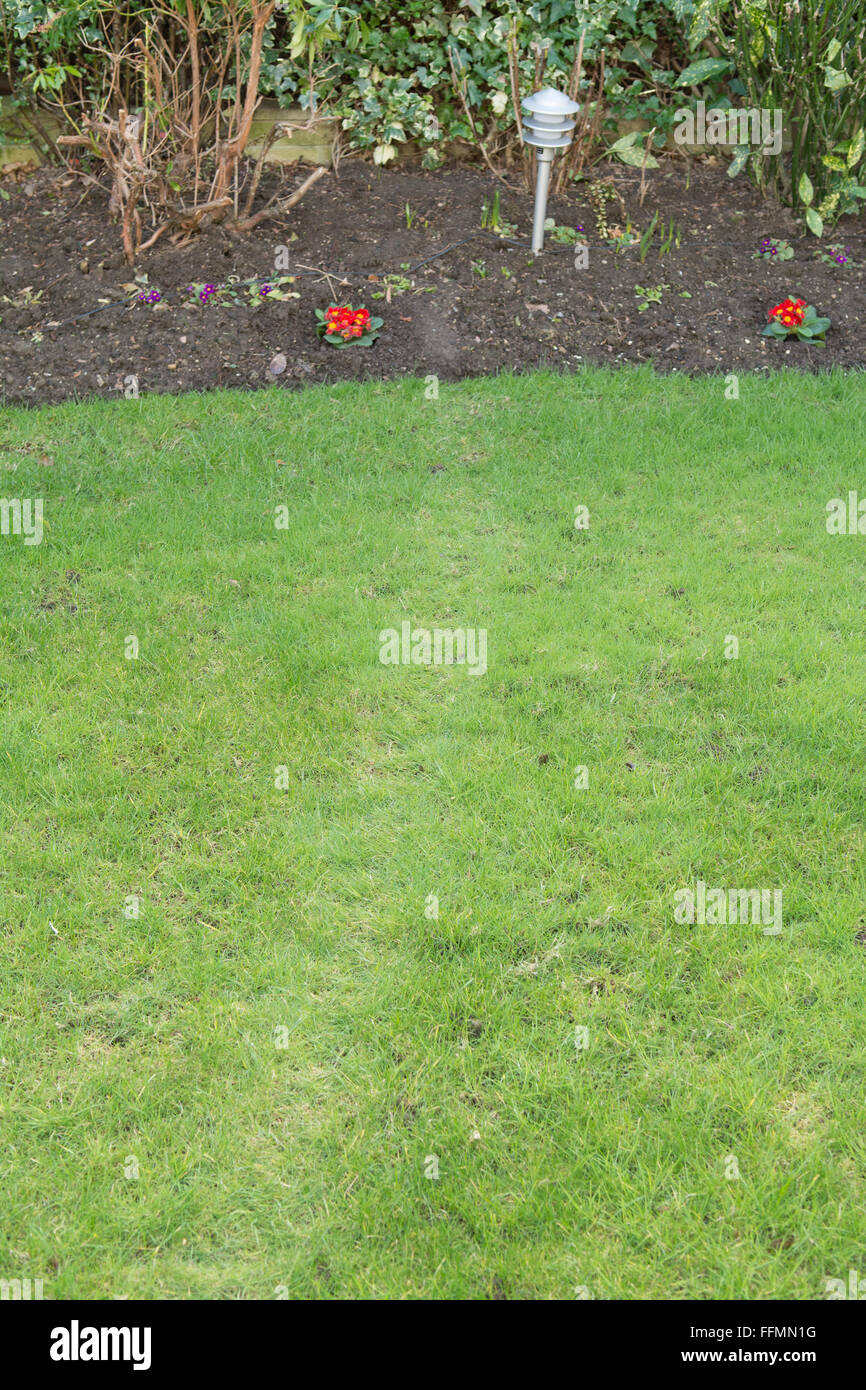 Spia segno di un ratto visitando un giardino - via e ingrassare i segni lasciati dal ratto come segue lo stesso percorso per gli alimentatori di uccello Foto Stock