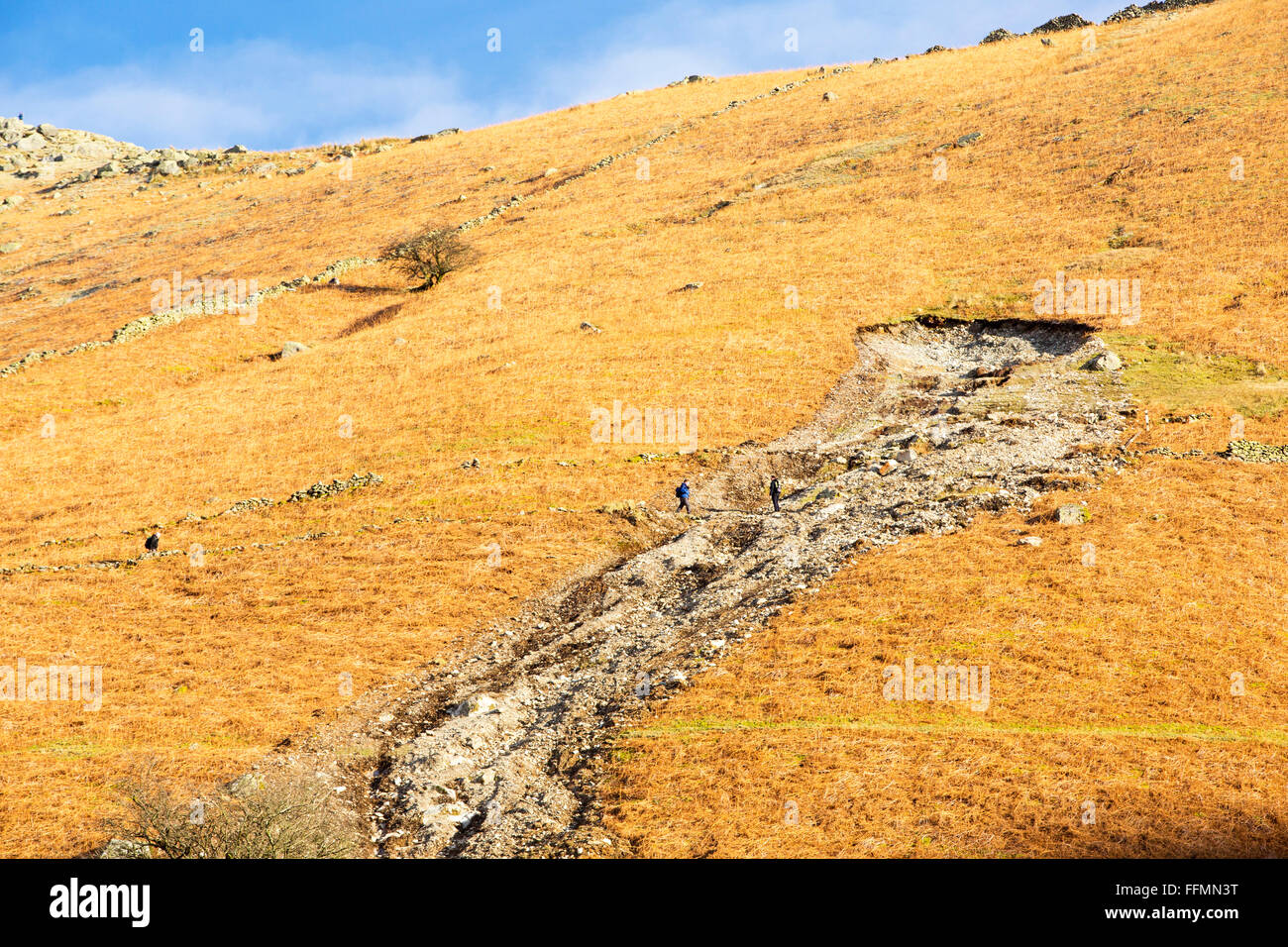 Tempesta Desmond causarono distruzione in tutto Cumbria con inondazioni e distruzione. Il super terreno saturo non riuscita in molti luoghi lasciando cicatrici di frana su molti fellsides, questo è su pietra Arthur sopra Grasmere, Lake District, UK, con gli escursionisti che mostra la scala della funzione. Foto Stock
