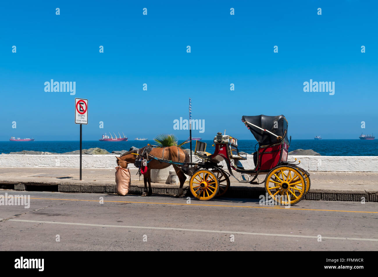 Un trasporto turistico attraverso la città. Vina del Mar, Cile Foto Stock
