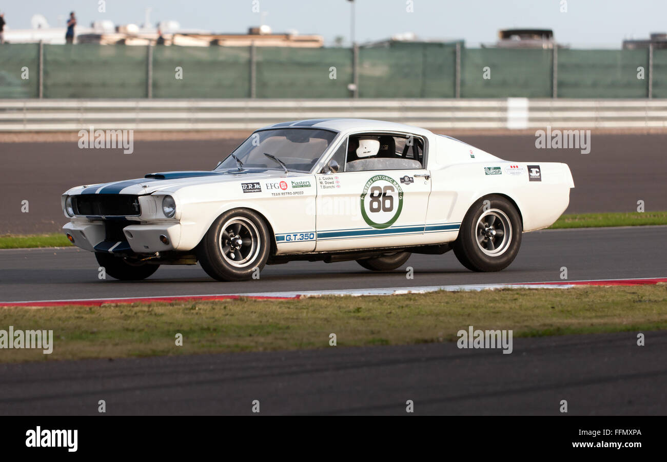 Una Ford Mustang GT350, competere nel trofeo internazionale di Classic GT auto sportive (Pre 66), al 2015 Silverstone Classic Foto Stock