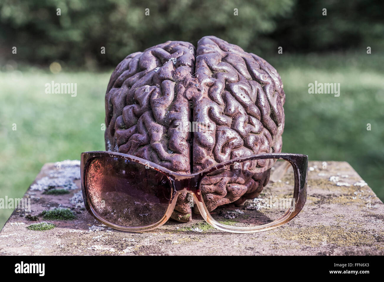 La scultura di un cervello indossando occhiali da sole rotto Foto Stock