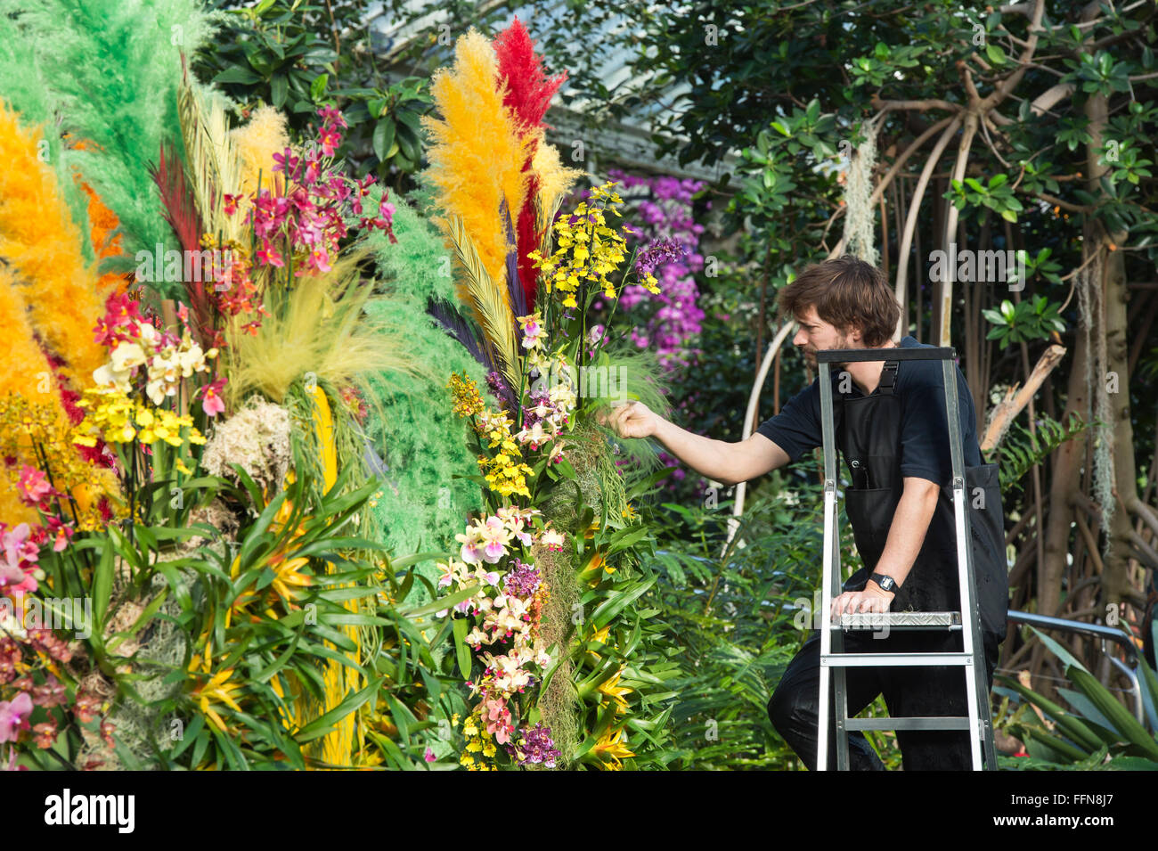 Kew giardiniere la rifilatura del orchid display interno i principi del Galles al Conservatorio botanico di Kew Gardens. Londra, Regno Unito Foto Stock