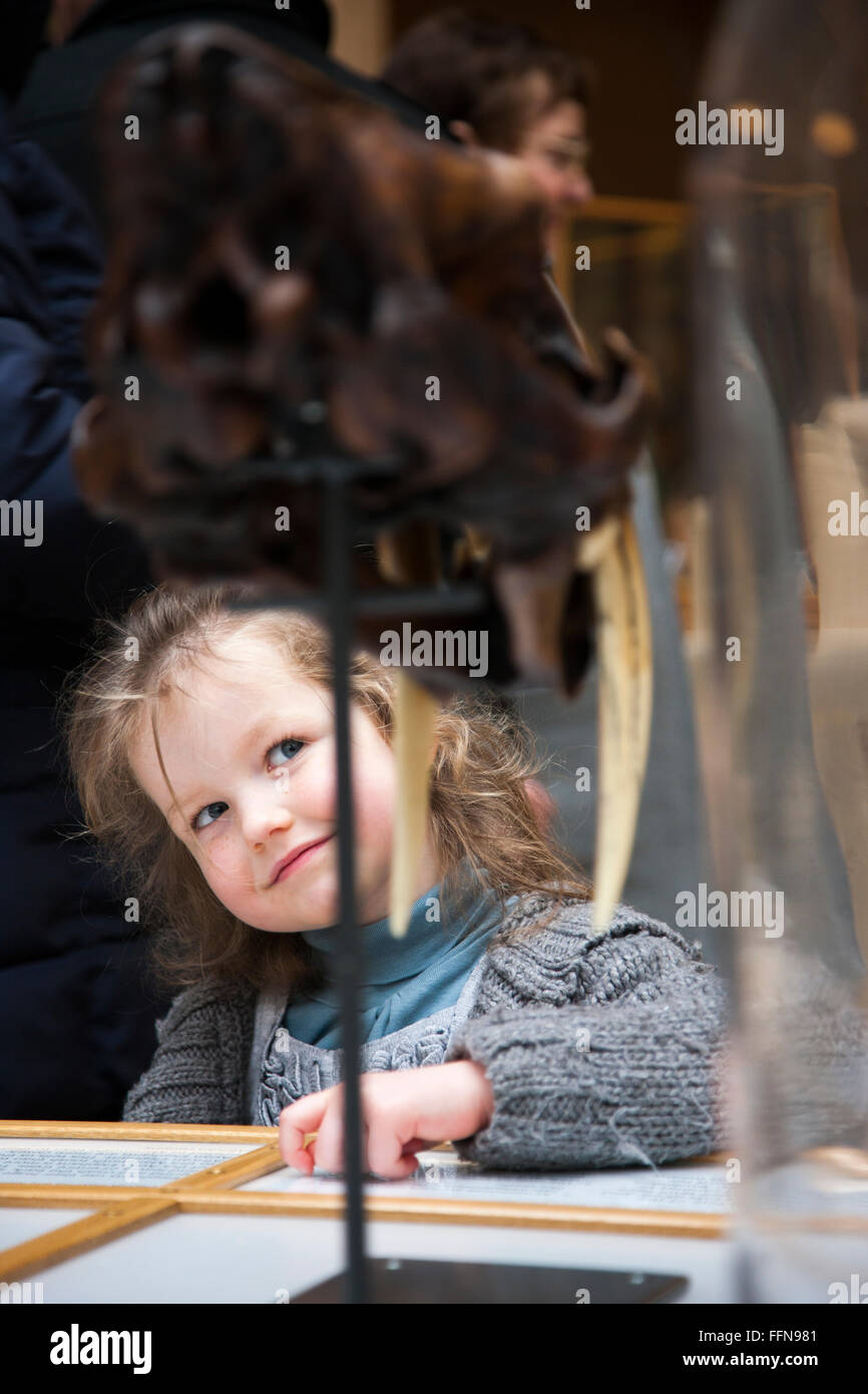 Scuola di giovane età ragazza guardando Smiladon cranio presentano display mostra. La Oxford University Museo di Storia Naturale del Regno Unito. Foto Stock