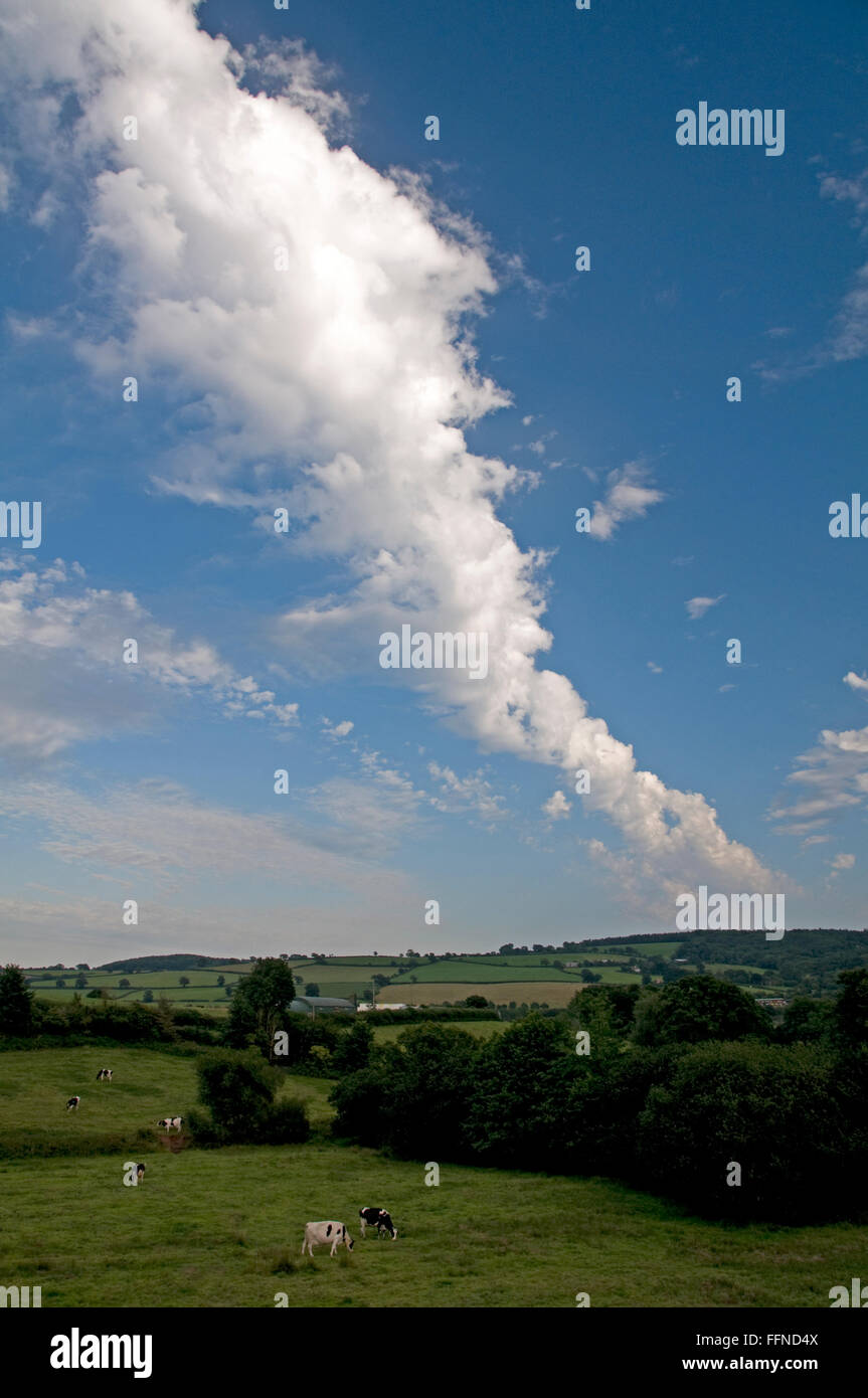 Curioso di banda instabile altocumulus cloud visto dal Bradninch, Devon Foto Stock