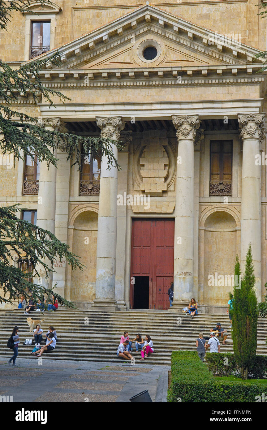 Anaya Palace (ora Facoltà di Filologia, Università di Salamanca), Plaza de Anaya, Anaya Square, Salamanca, Via de la Plata, Cast Foto Stock