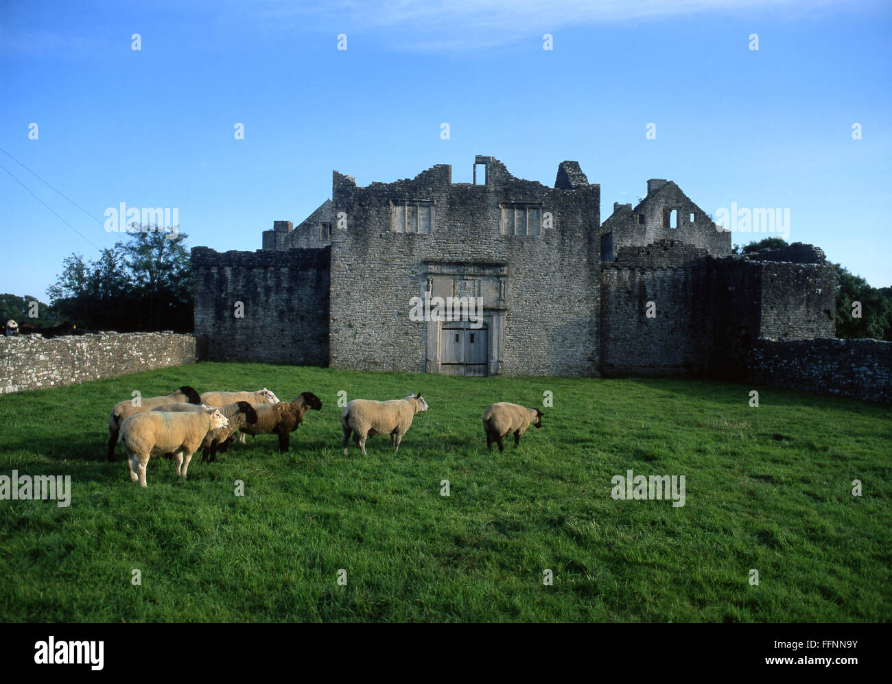 Vecchio Beaupre castello fortificato di Manor House Vale of Glamorgan South Wales UK Foto Stock
