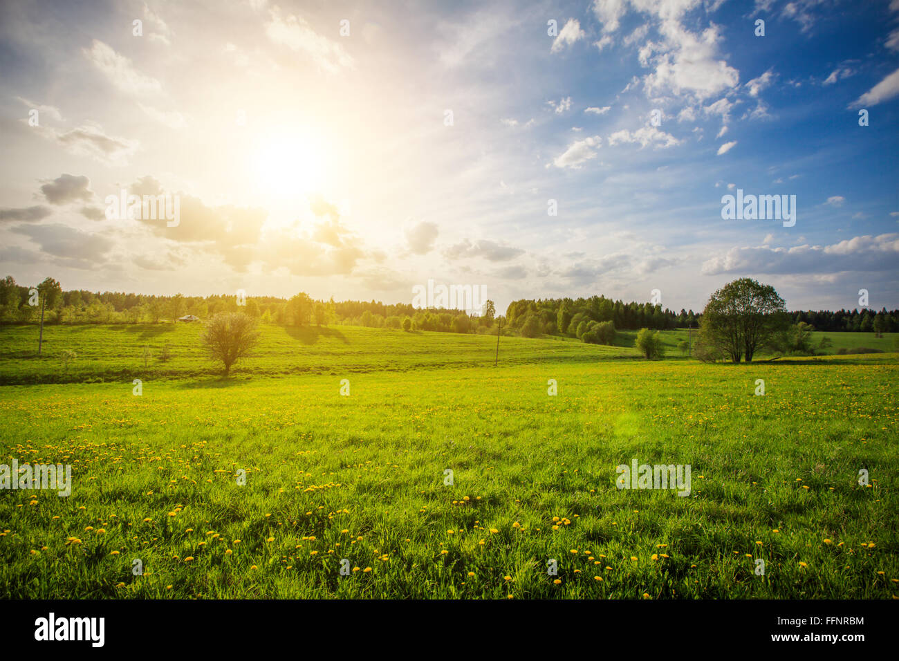 Campo verde e splendido tramonto Foto Stock