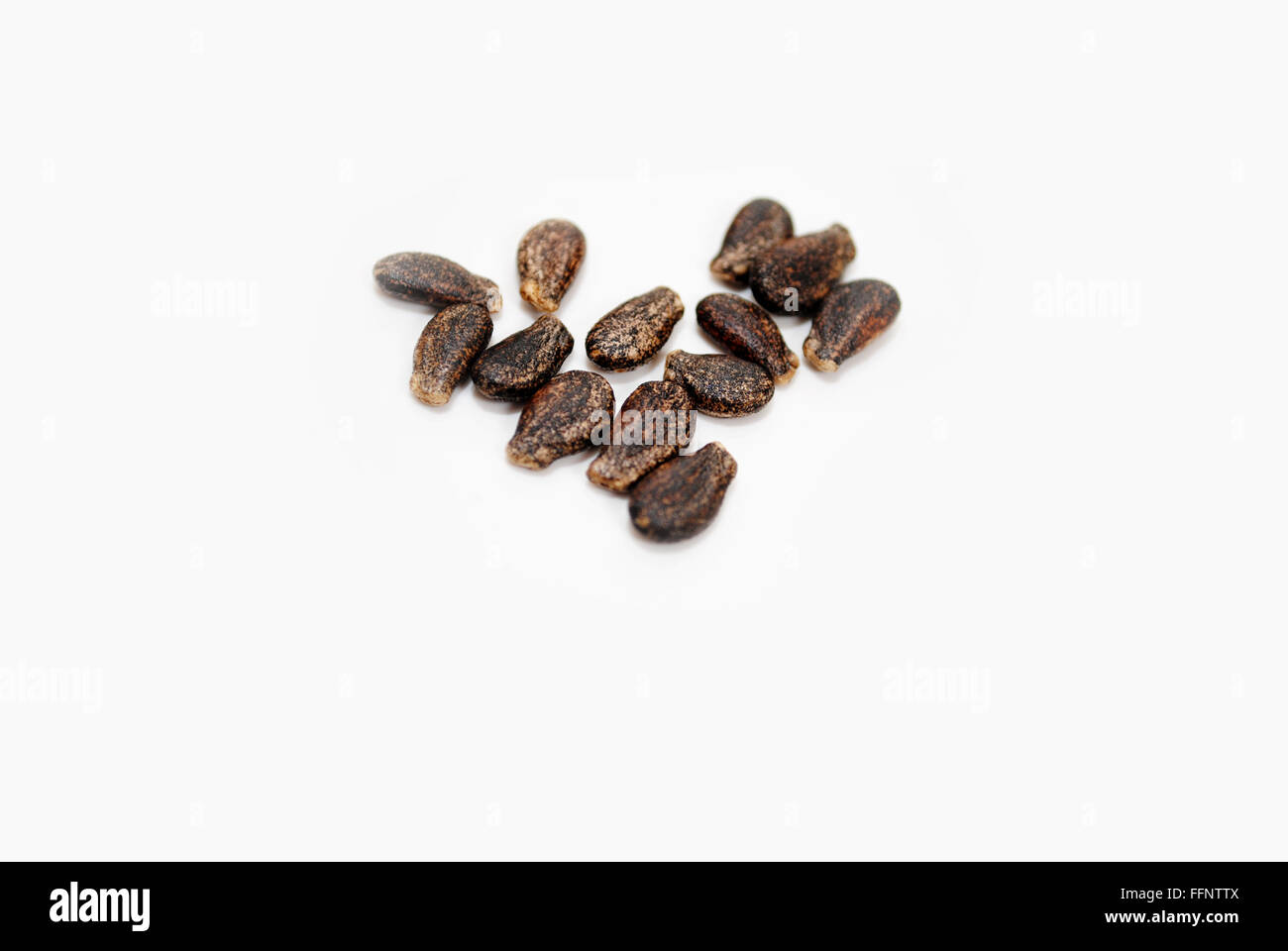 Secchi semi di anguria su bianco Foto Stock