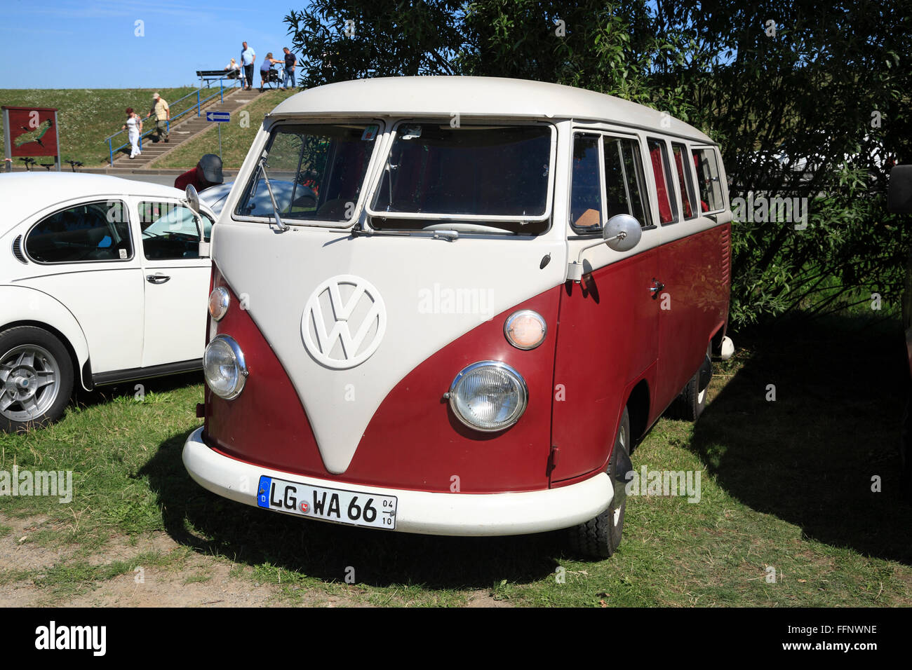 Bus VW, Oldtimer meeting, Bleckede / Elba, Bassa Sassonia, Germania, Europa Foto Stock