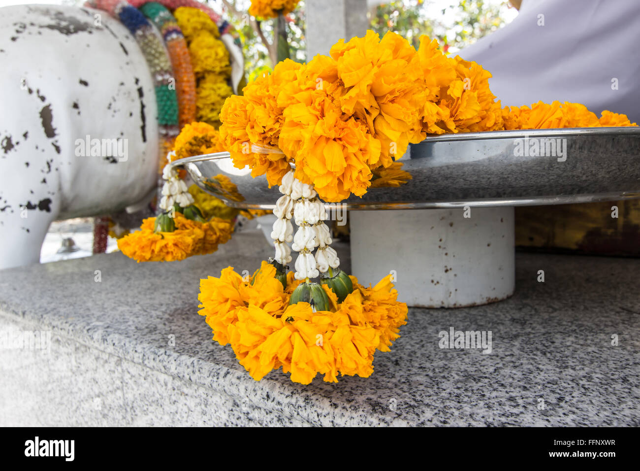 Offerta di calendula ghirlanda fiore nel tempio,Thailandia cultura tradizionale Foto Stock
