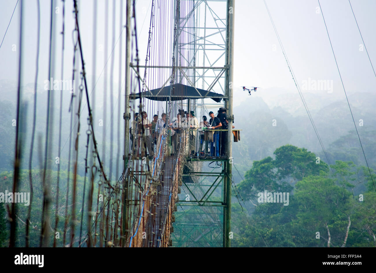Tettoia sopra Amazzonia Foresta correva in Ecuador Foto Stock