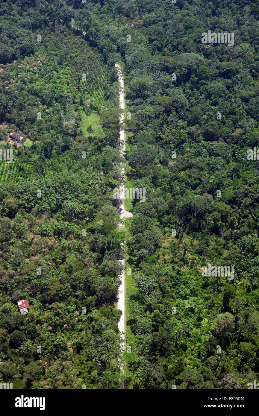 Vista aerea di strada attraverso la foresta pluviale amazzonica. Foto Stock