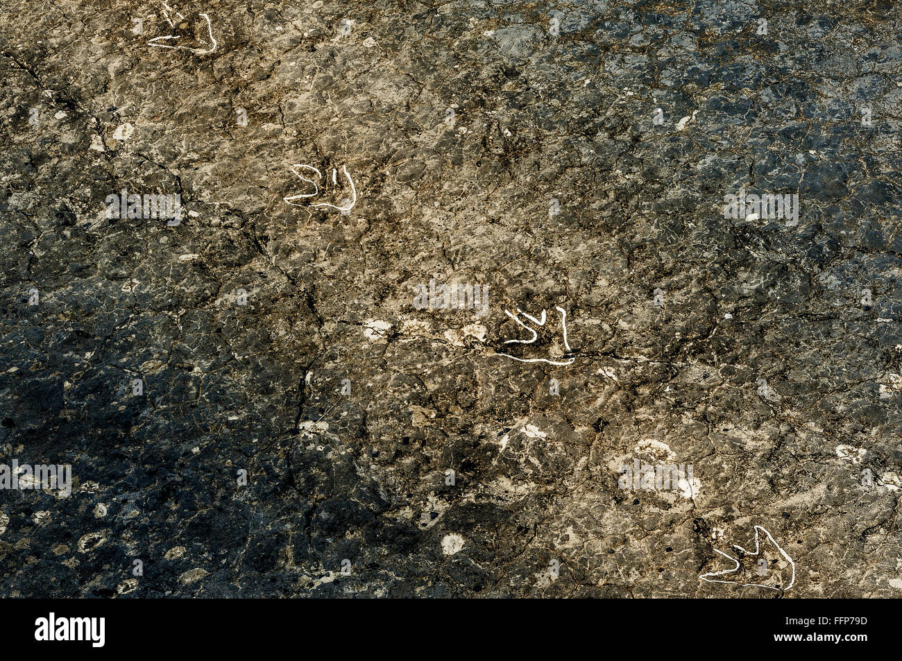I dinosauri vecchie impronte preistoriche, Foto Stock