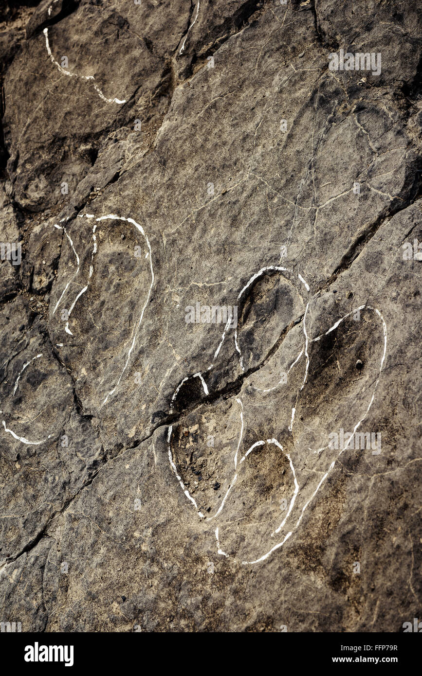 I dinosauri vecchie impronte preistoriche, Foto Stock