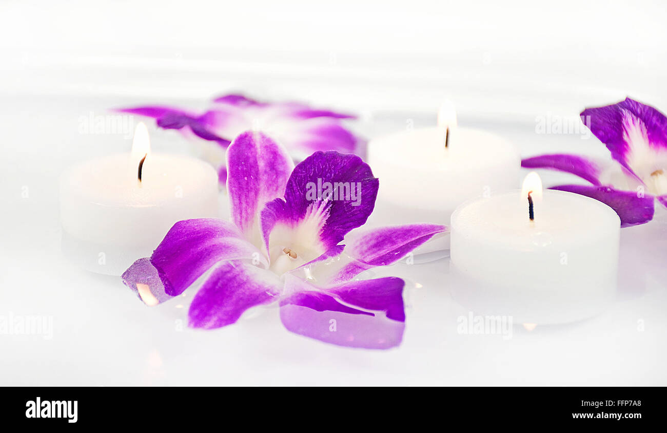 Piccole ciotole bianche con candele galleggianti e margherite Foto stock -  Alamy