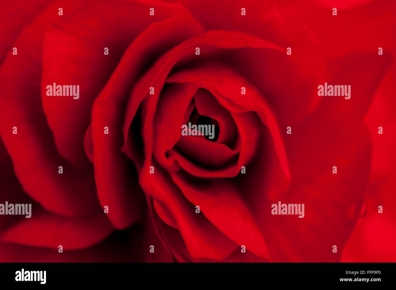 La bellezza del nord-est dell India Foto Stock