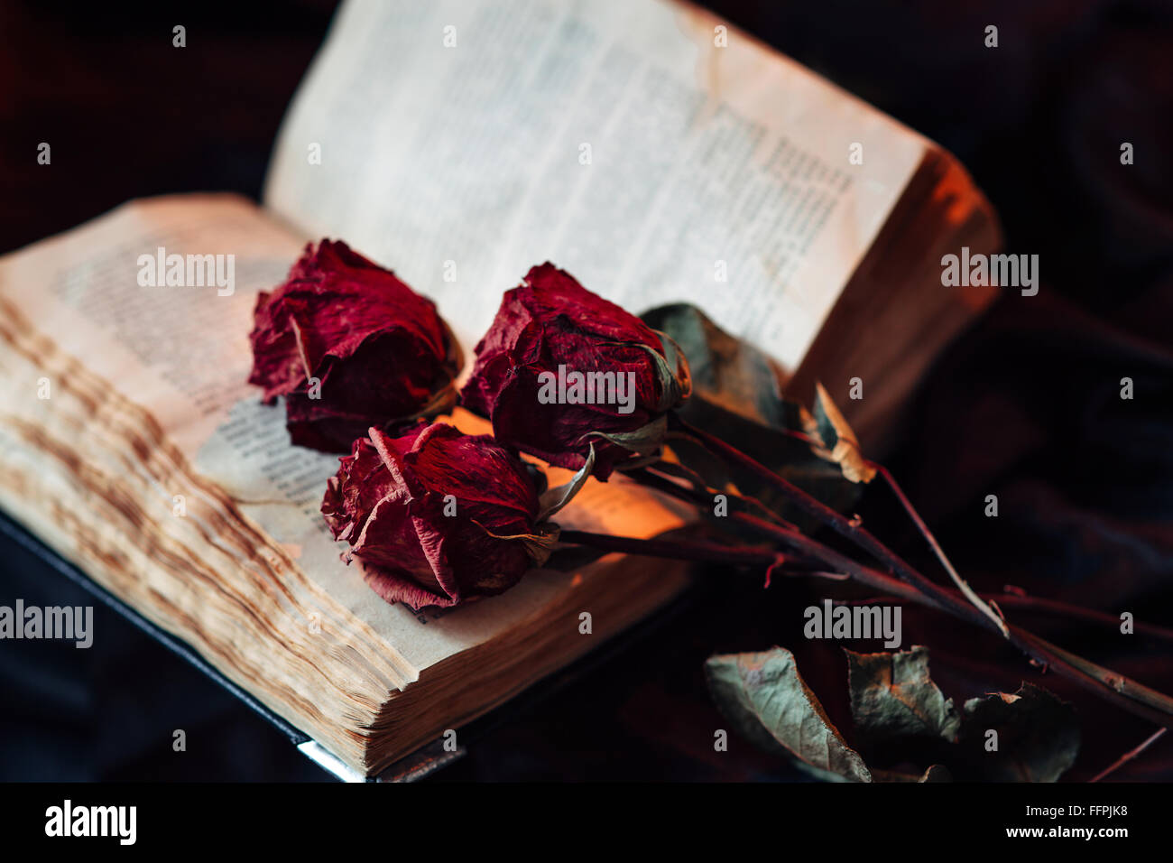 Vita Tranquilla con il vecchio libro e le rose Foto Stock