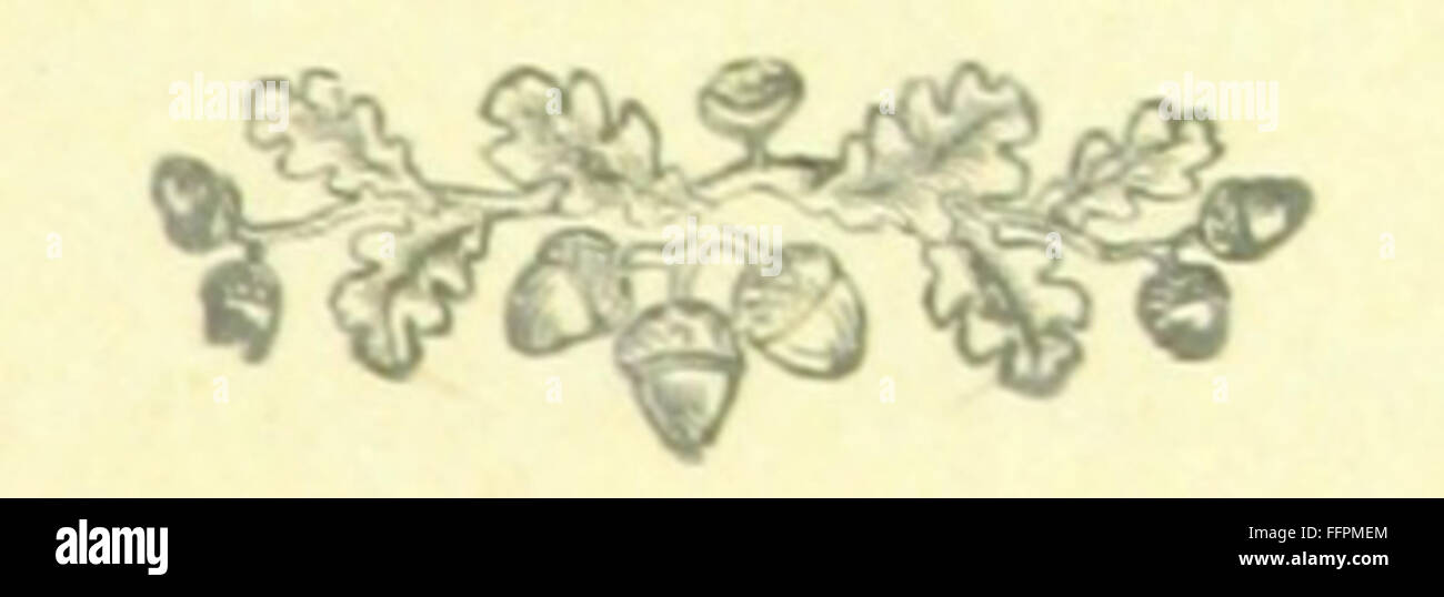 "The Universal Irish Song Book" compila una collezione completa di canzoni e ballate tradizionali irlandesi, offrendo una panoramica del ricco patrimonio musicale irlandese. Presenta sia opere famose che meno conosciute, che mostrano la diversità della musica folk irlandese. Foto Stock