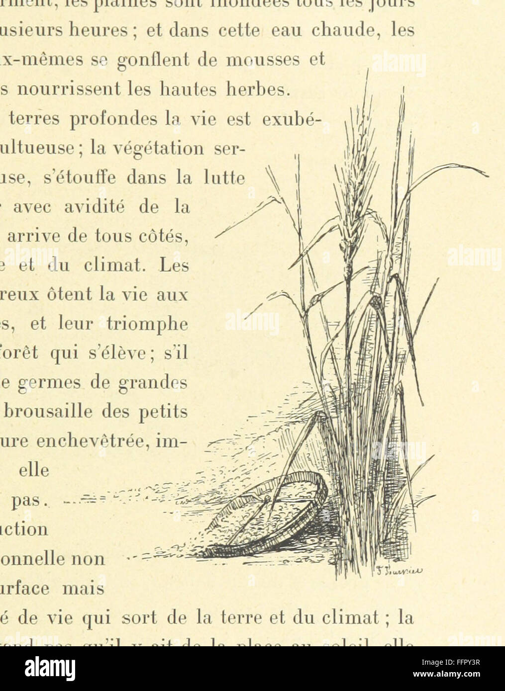 61 di 'Soudan français. Kahel. Carnet de voyage ... Avec 50 incisioni dessinées par Fiorillo Fournier et 5 cartes' Foto Stock