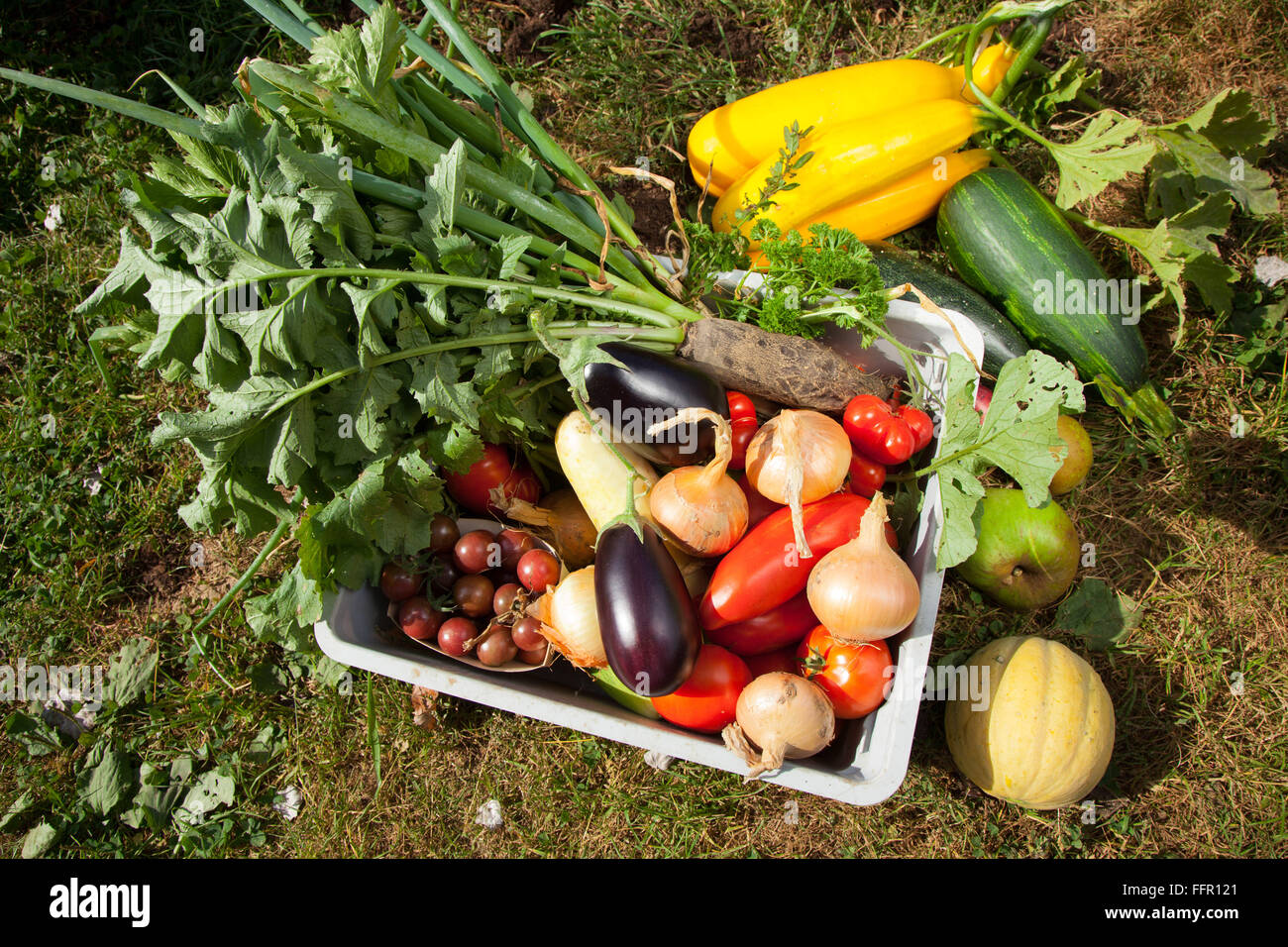 Scatola di varie verdure organiche Foto Stock