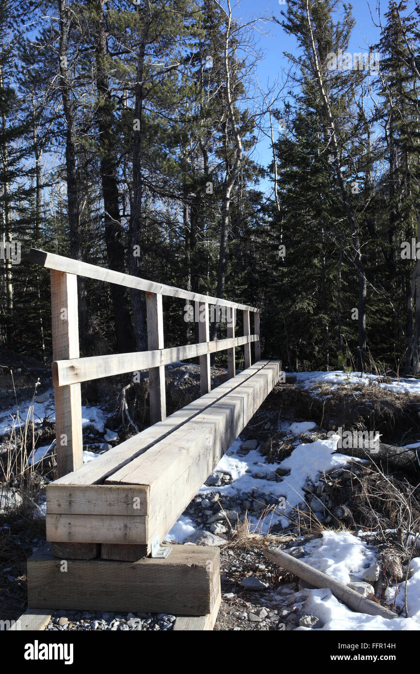 Ponte in legno sul Lago Minnewanka Trail in Banff NP Foto Stock