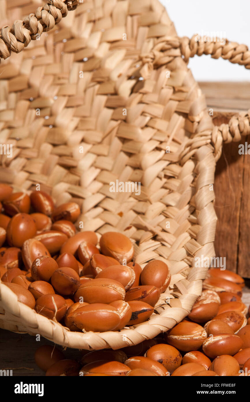 Argan e olio di Argan Foto Stock
