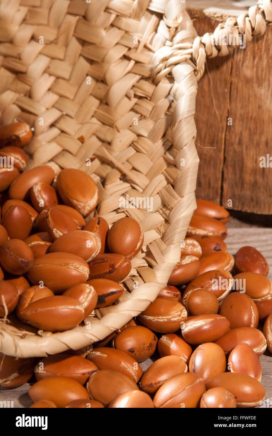Argan e olio di Argan Foto Stock