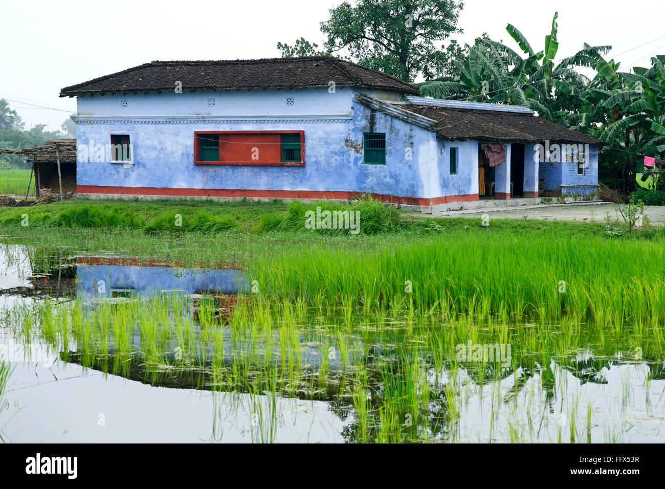 Casa , il villaggio del patrimonio culturale di vita , Vaishali a Kesariya , Bihar , India Foto Stock