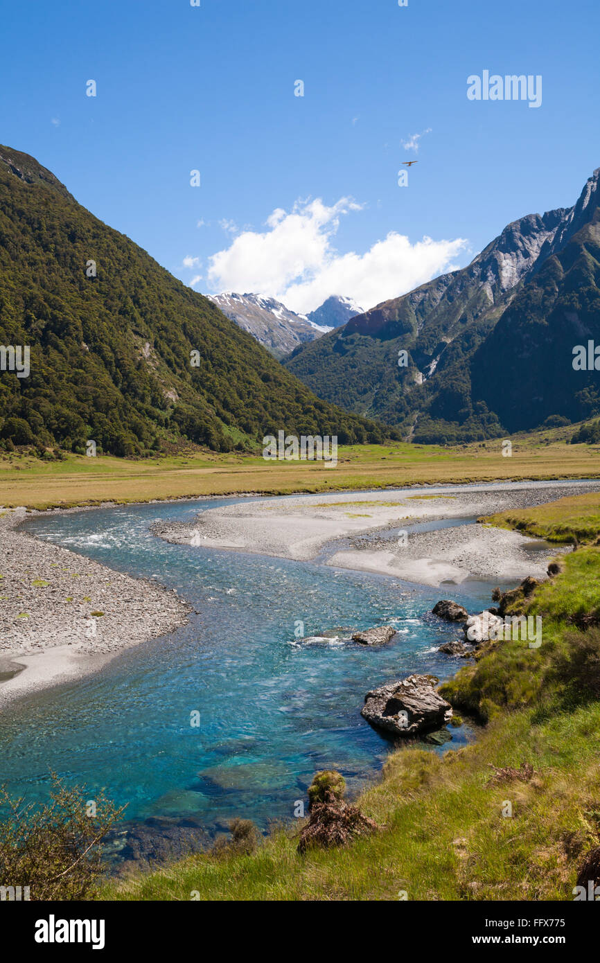 La Siberia esperienza bush a piedi attraverso la valle Wilkin nel montare gli aspiranti World Heritage National Park, Isola del Sud, Nuova Zelanda Foto Stock
