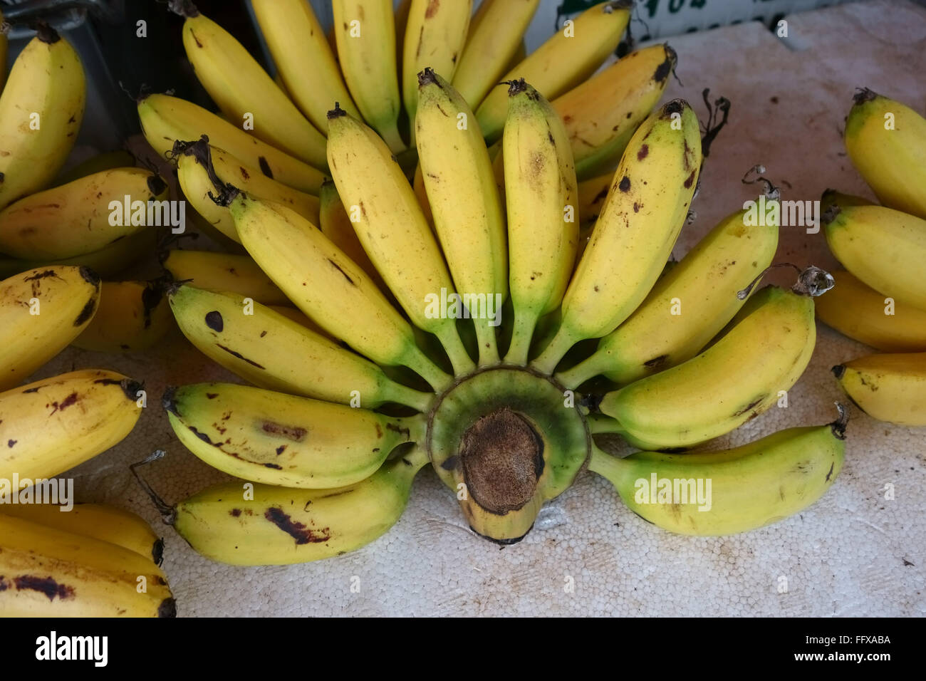 Lady-dito lo zucchero o le banane, Musa acuminata, frutti maturi su un mercato in stallo, Bangkok, Thailandia Foto Stock