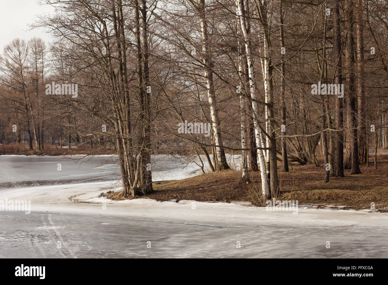 Il paesaggio in winter Park Foto Stock