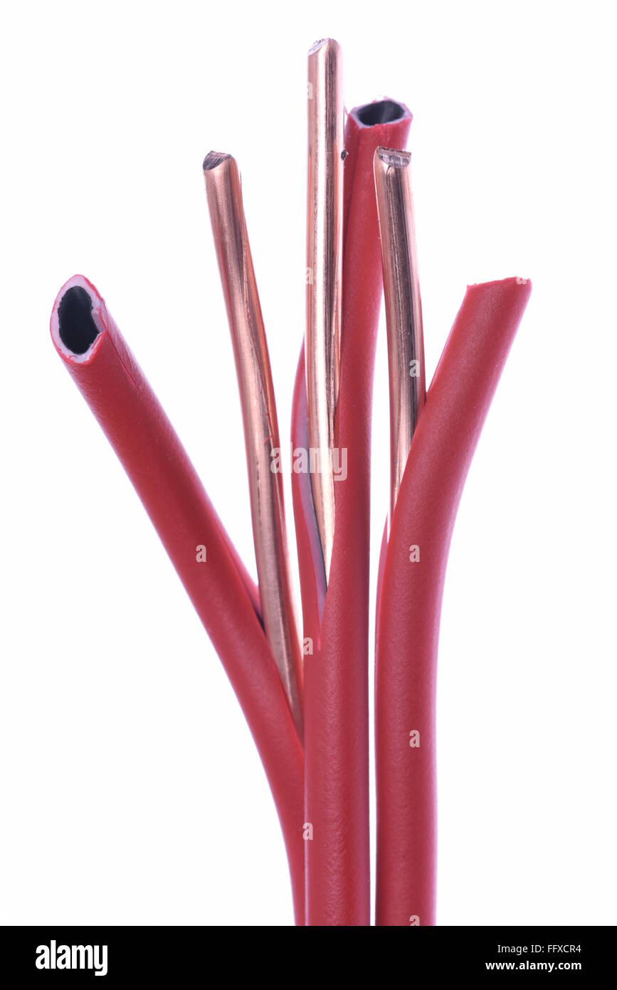Stripped red filo elettrico o un cavo isolato su sfondo bianco Foto Stock