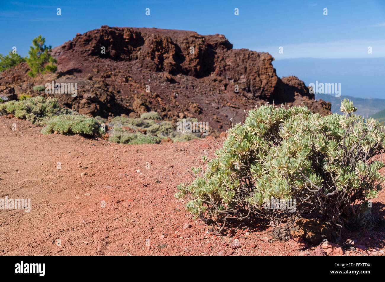 Picco di montagna di Samara, isola di Tenerife, Spagna Foto Stock