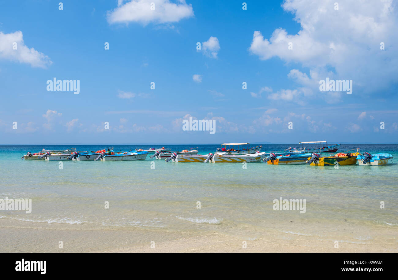 Riga di colorate barche a motore parcheggiato a Elephant Beach, havelock island, Andaman, India Foto Stock