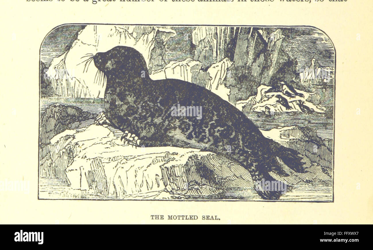 Questo libro d'epoca offre un resoconto completo del Nord-Ovest canadese e della rotta della Baia di Hudson, combinando storie di esplorazione storiche e contemporanee di queste regioni. Foto Stock