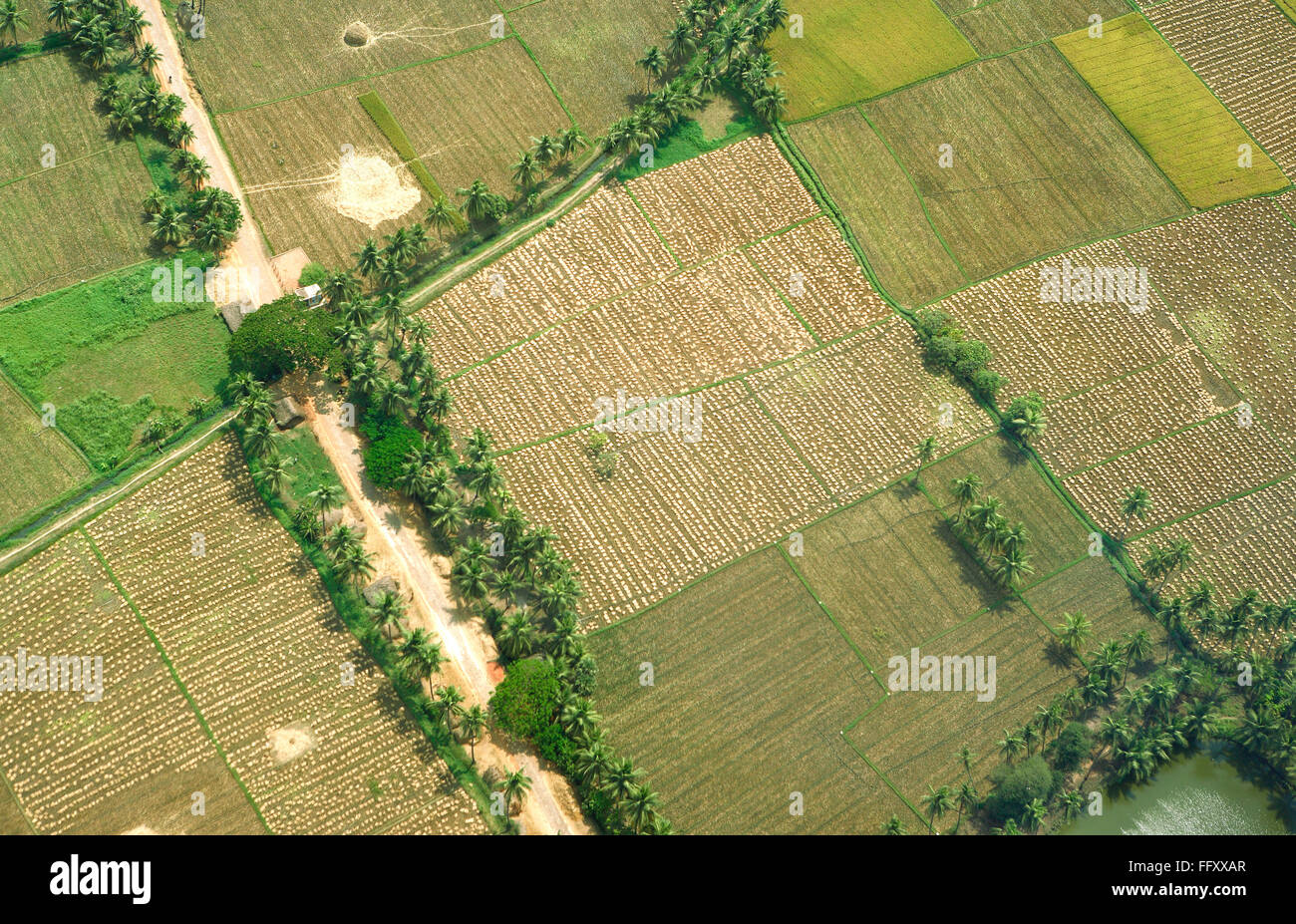 Vista aerea del campo coltivato , Andhra Pradesh , India Foto Stock