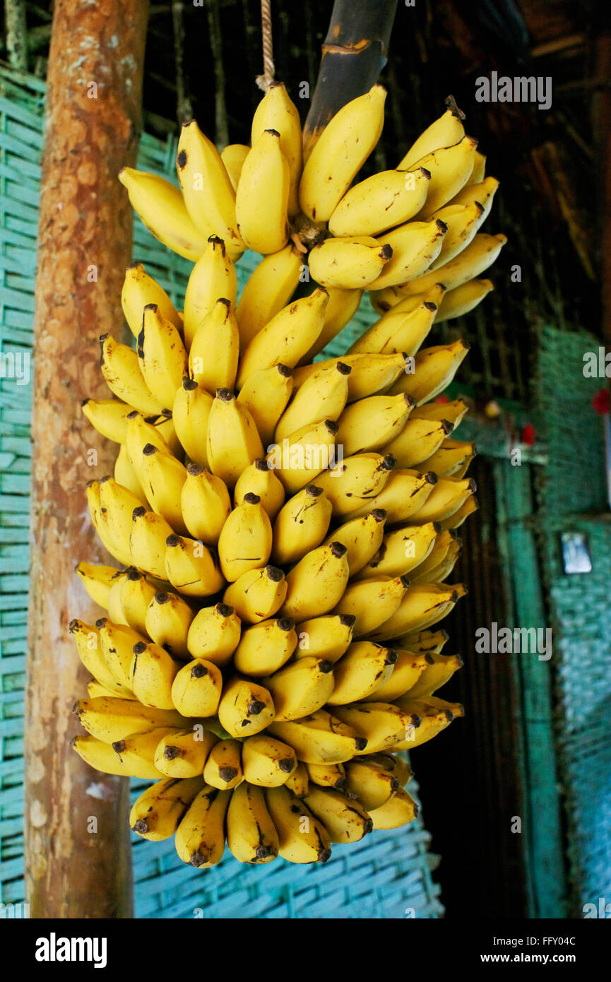 Frutta a forma di banana immagini e fotografie stock ad alta risoluzione -  Alamy