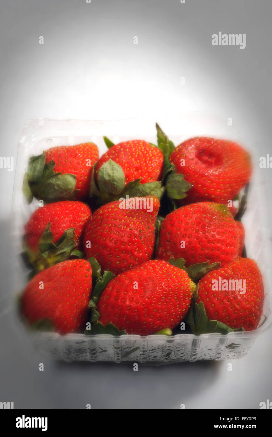 Frutti , fragole nel vassoio di plastica su sfondo bianco Foto Stock