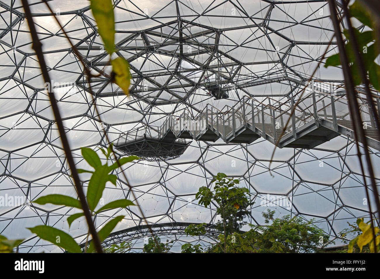 All'interno di Progetto Eden foresta tropicale BioDome. Guardando il tetto e passerella aerea Foto Stock