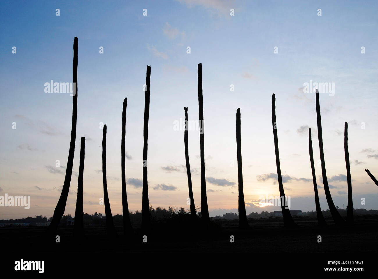 Siccità , un lungo periodo di tempo senza pioggia palme in silhouette , Tamil Nadu , India Foto Stock