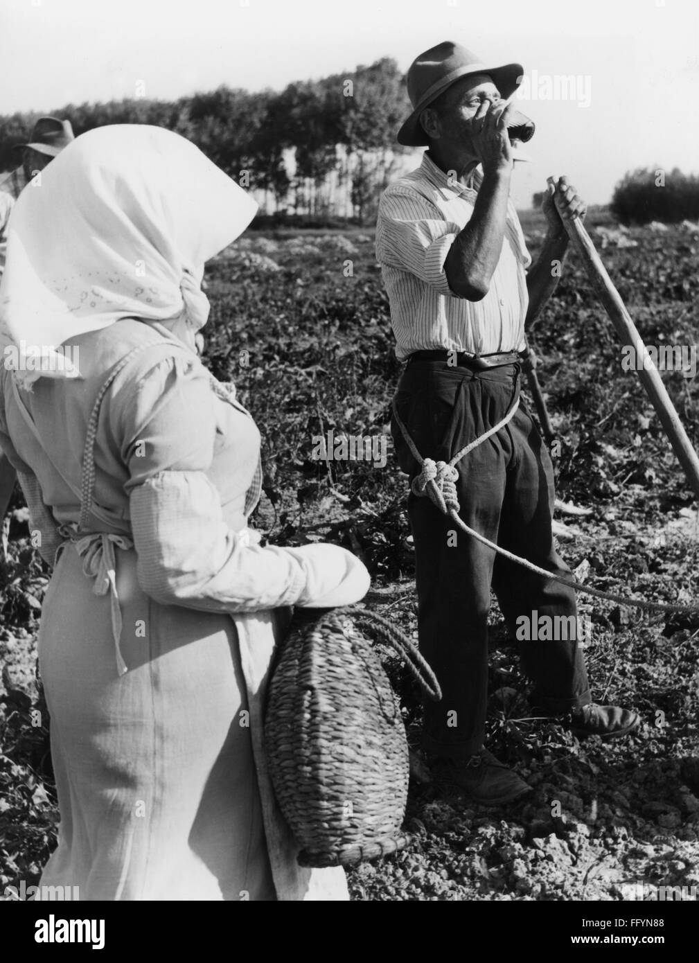 Agricoltura, raccolto, pausa durante il lavoro, Valle Padana, anni '50, diritti aggiuntivi-clearences-non disponibile Foto Stock