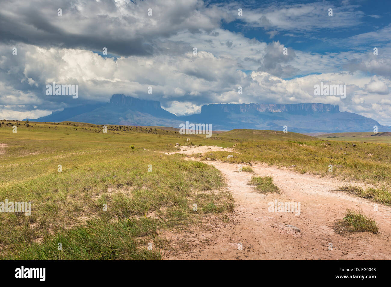 Via a monte Roraima - Venezuela, Sud America Foto Stock