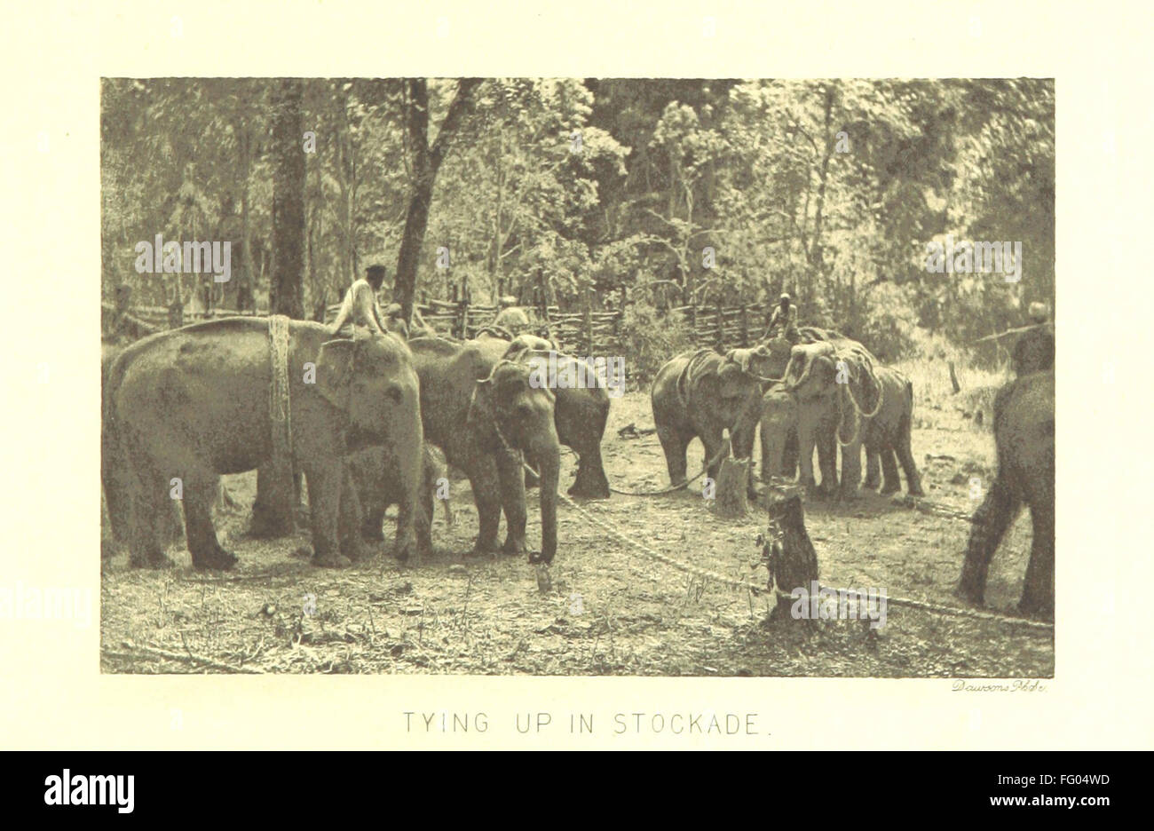 77 "di S.A.R. il Duca di Clarence e Avondale nell India meridionale. Da J. D. Rees ... Con un racconto di un elefante che cattura in Foto Stock