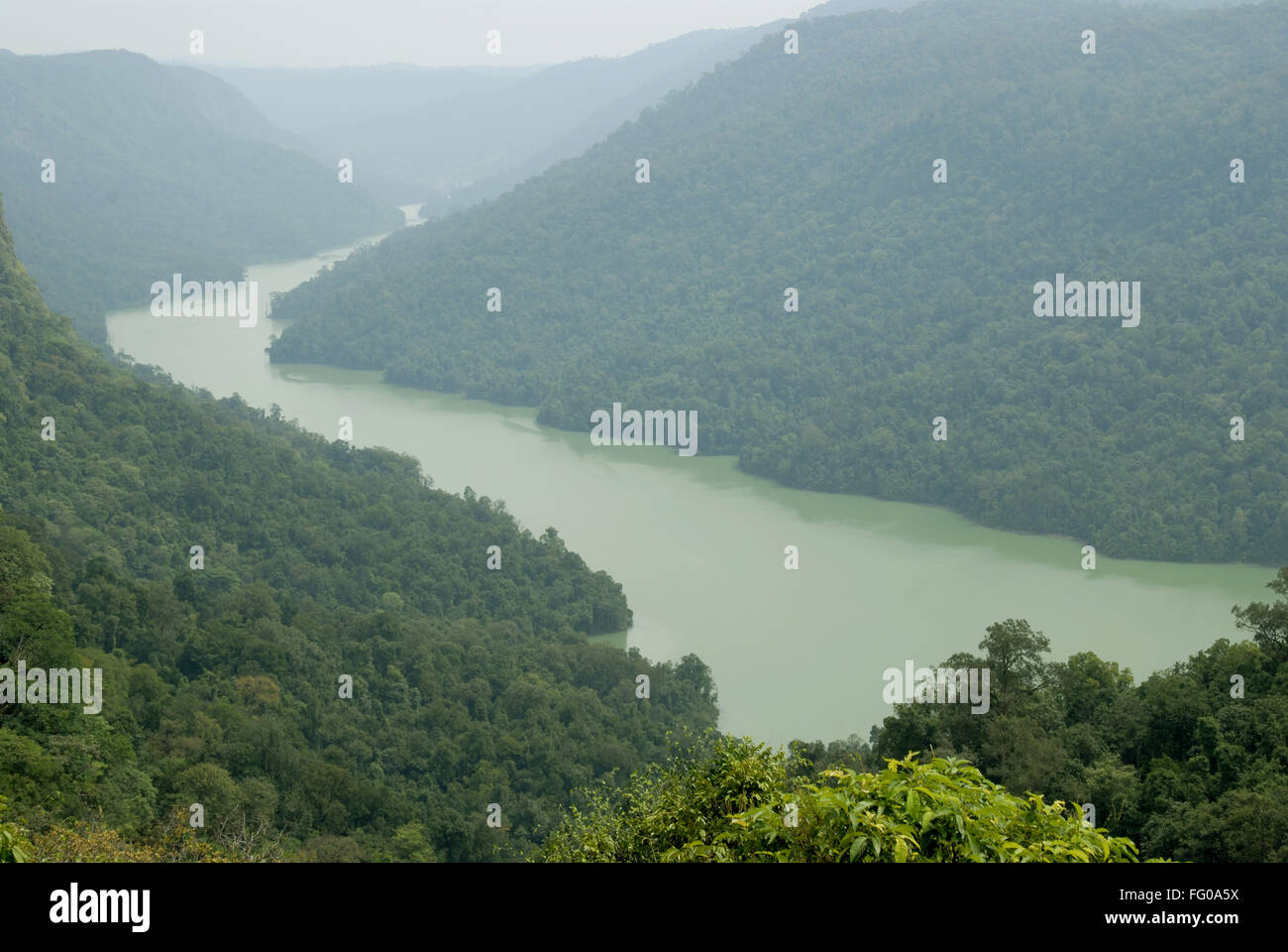Vista aerea del fiume Sharavati , distretto nord Kanara , Karnataka , India Foto Stock